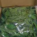 24PCS Italian Ruscus Greenery 54cm Artificial Greenery Stems Leaf Greenery Garland for Wedding Arch Flowers Centerpieces for Tables Balloon Arch Home Decor