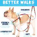 2 Hounds Design Freedom No Pull Dog Harness, Adjustable Harness and Leash Set, Easy Walking & Comfortable Control, Fits Small, Medium & Large Dogs, Solid Colors, Made in USA, 1" MD, Raspberry