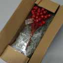 45 Pcs Artificial Christmas Snow Pine Branches with Red Berry Stems, Snowy Faux Greenery Norfolk Pine Cypress Leaves Stems, Berries White Frosted Fake Foliage Pines Needle Picks for Garland Home Decor,C Style, 45 Pcs