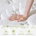 Onlylucky Twin Mattress 12 Inch, Firm Twin Size Mattress in a Box with Gel Memory Foam and Individual Quiet Pocket Springs, Spinal Alignment, Zoned Back Support, Cooling Comfort Sleep