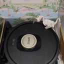 Shark AV2501AE AI Robot Vacuum with XL HEPA Self-Empty Base, Bagless, 60-Day Capacity, LIDAR Navigation, Perfect for Pet Hair, Compatible with Alexa, Wi-Fi Connected, Carpet & Hard Floor, Black