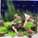 Mipcase Crushed Coral for Freshwater and Saltwater Aquariums, Natural Ph Buffer Filter Media with Mesh Bag, High Surface Area Bio Media for Fish Tank Pond and Reef, 500g Random Size