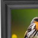 8x32 Picture Frame Solid Wood Black 8x32 Posters Frame 8x32 Inch Panoramic Frame 8x32 Inch Photo Frame, including Hanging Hardware (Y23B832)
