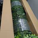 ODTORY Artificial Plant Wall Roll: 48 X120 in (40 sqft) UV-Anti Ivy Privacy Fence Screen Faux Greenery Panels Backdrop Boxwood Ivy Vine Leaf Hedge Fence for Indoor Outdoor Green Decor