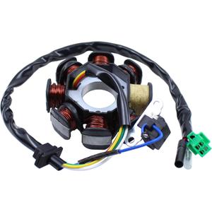 ApplianPar 8 Pole 8 Coil Magneto Stator Ignition Coil for GY6 125cc 150cc Engine ATV Scooter Go Kart Quad Dirt Bike Buggy Moped