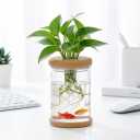 Propagation Station - Desktop Plant Hydroponic Vases, Water Plant Jars, Gardening Gifts for Women Mom Plant Lovers