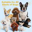 2 x Kazazoo Dog Collar Cute and Soft Nylon Puppy Collar for Boy and Girl, Adjustable Dog Collars for Small Medium Dogs, Blue Sky-S