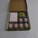Dinosaur Fossil Digging Kit for Kids, Eggs Excavation Dig Kit, Toys for Kids 5-7 8-12, Great Birthday for Boys and Girls