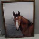 Crystal Art Gallery Horse Art Print Equine Framed Wall Art 
15" x 19"