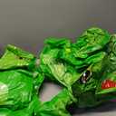 Poen Inflatable Dinosaur Limbo Inflatable Dinosaur Toy Limbo Game for Kids Adults Summer Indoor Outdoor Blow up Dino Theme Christmas Party Games Favors Party Supplies, Pump Not Included