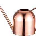 IMEEA Small Watering Can for Indoor Plants Stainless Steel Indoor Watering Can with Long Spout, 15oz/450ml (15oz (Rose Gold))