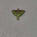 Old World Christmas Luna Moth Glass Blown Ornament for Christmas Tree
