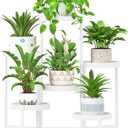 iDavosic.ly 6 Tier Folding Plant Stand Indoor Outdoor with Plastic Tray, Tiered Corner Flower Holder Shelf, Metal Orchid Display Rack for Patio Porch Living Room Garden Balcony, White
