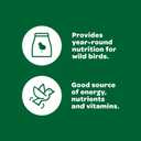 Kaytee Wild Bird Food Basic Seed Blend, 5 lb (EXP 08/04/26)