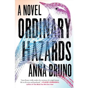 Ordinary Hazards: A Novel Book