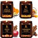 Fall Winter Candle Set, Winter Scented Candles for Home, 2 Pack Soy Candle Set, Holiday Christmas Gifts for Women Men, Christmas Scents of Vanilla Pumpkin/Cinnamon Clove/Apple Pie/Fall Party