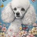 DIY Diamond Painting by Numbers White Poodle Full Drill Round Diamond Embroidery Cross Stitch Mosaic Crystal Rhinestone Arts and Craft Mosaic Art Kits 30x40cm(ku235)