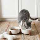 LE TAUCI Dog Bowl Set with Acacia Wood Stand - 1.5-Cup Ceramic Puppy Bowls for Small Dogs, Dual Food and Water Bowls with Weighted Non-Slip Base