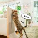 Necoichi Cardboard Cat Scratcher Wall for Indoor Cats - Cat Scratching Board, Cat Scratch Pad Lounger with Reversible Usability and Extra Comfort for Lounge, Curved (Oak, Large)