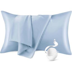 100% Pure Mulberry Silk Pillowcase for Hair and Skin, Standard Size 20*26 Cooling Silk Pillow Case by Zipper Closure, Smooth Dual Sides Silk Pillow Cover for Women. (Light Blue,Standard-1 Pcs)