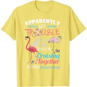 Apparently We're Trouble When We Are Cruising Together T-Shirt (Small, Black)