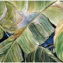 Fine Art Canvas Sun Tipped Tropicals Canvas Wall Decor by Artist Carol Robinson for Living Room, Bedroom, Bathroom, Kitchen, Office, Bar, Dining & Guest Room - Ready to Hang - 40 in x 21 in