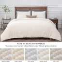 BEDELITE Fleece Queen Comforter Set -Super Soft & Warm Fluffy Cream White Bedding, Luxury Fuzzy Heavy Bed Set for Winter with 2 Pillow Cases