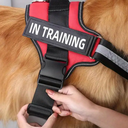 In Training, Xs