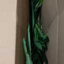 Nearly Natural 48in Dracaena Silk Plant (Real Touch) Green