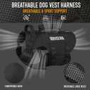 Service Dog Vest for Large Dogs, Black Tactical Harness with Military MOLLE, Breathable Mesh & 39g Metal Buckle - Size M for Training & Hiking