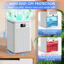 Dehumidifier for Home, 75 OZ Water Tank, Quiet Dehumidifiers for Home with Auto Shut Off, Auto Defrost, Timer, Sleep Mode, 7 Color Light Dehumidifier for Basement, Bedroom, Bathroom - White