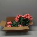 Hananona Artificial Geranium Flowers for Outdoors Geranium Silk Flowers Outdoor UV Resistant Garden Plants Faux Flowers for Home Kitchen Table Centerpieces Decor (12, Peach)