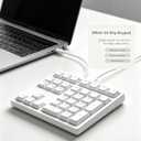 Gurjot White Portable Mechanical Numeric Keypad, USB Wired 34‑Key Number Pad, RGB Backlit Anti‑Ghosting Mechanical Keypad for Laptop Desktop PC, Excel Accounting Data Entry