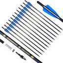 Crossbow Bolts 20 Inch Carbon Arrows 8.8mm Shaft Half Moon Nocks with Replaceable Screw-in Broadhead for Crossbow Hunting Target Practice Outdoor Gift, 12Pcs