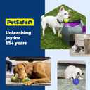 PetSafe Busy Buddy Jack - Keeps Dog Busy - Includes Treats Refill - Treat Holding Dog Toy - Helps Clean Teeth - Durable Rubber - Strong Chewers - Dishwasher Safe - Large - Purple