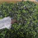 4Pcs Artificial Boxwood Topiary Ball Trees,Faux Boxwood Shrubs