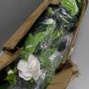 2-Piece Set of 36 inch (Approximately 91 cm) Artificial Camellia Tree with 24 Blooming Flower Plants, Used for Indoor and Outdoor Office Home Porch Decoration (2PCS Including Small Stones)
