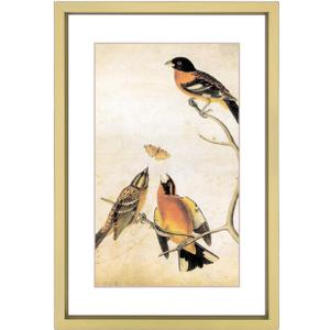 6x8 Picture Frame, Brass Aluminum Metal Photo Frames with HD Glass, Fits 5x7 with Mat or 6 x 8 without Mat, Display for Wall and Table