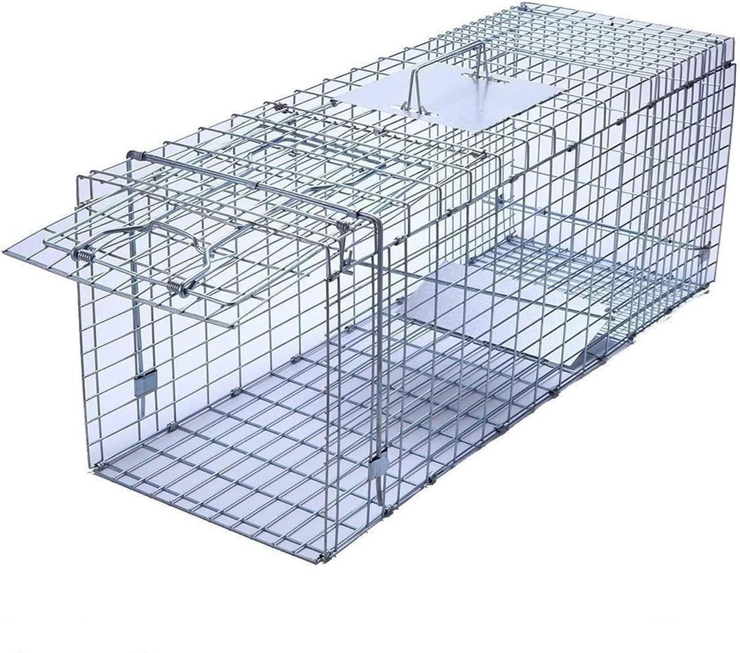 Faicuk Large Collapsible Humane Live Animal Cage Trap for Raccoon, Opossum, Stray Cat, Rabbit, Groundhog and Armadillo 32 x 11 x 13 Inch