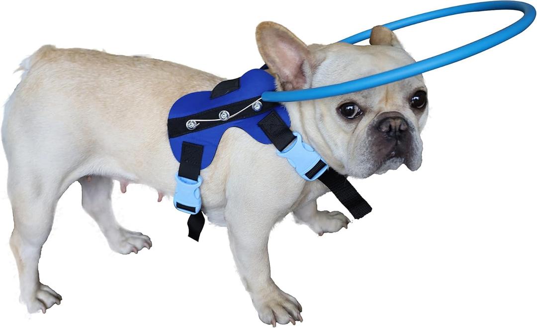 Blind Dog Harness Guiding Device,Blind Dog Halo,Pet Anti-Collision Ring for Protective&Build Confidence,Blind Dog Accessories (S)