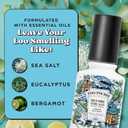 2 x Poo-Pourri Before-You-Go Toilet Spray, Fresh Sea Salt, 2 Fl Oz, Up to 100 Uses, Bathroom Odor Deodorizer with Essential Oils for Home or Work, Travel Essentials, TSA Approved Size, Sea Salt Bergamot