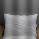 Farm To Home 100% Organic Cotton Cover Pillows Queen/Standard Size Set of 2, Down Alternative Hotel Quality Soft Bed Pillow for Back & Side Sleepers, Machine Washable, 20"x28", White