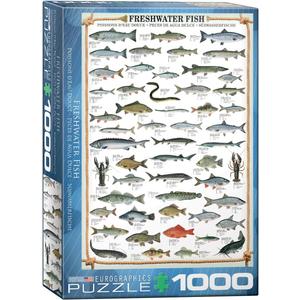 EuroGraphics Freshwater Fish 1000-Piece Puzzle EuroGraphics Freshwater Fish 1000-Piece Puzzle