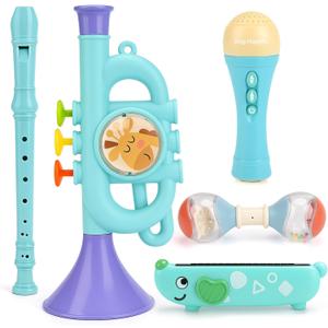 Musical Toys for 2 3 Year Old Boy Girl Birthday Gifts, 5 in 1 Montessori Musical Instruments for Toddlers 2-4 with Trumpet/Microphone/Flute/Harmonica, Preschool Learning Toys for Baby 18+ Months