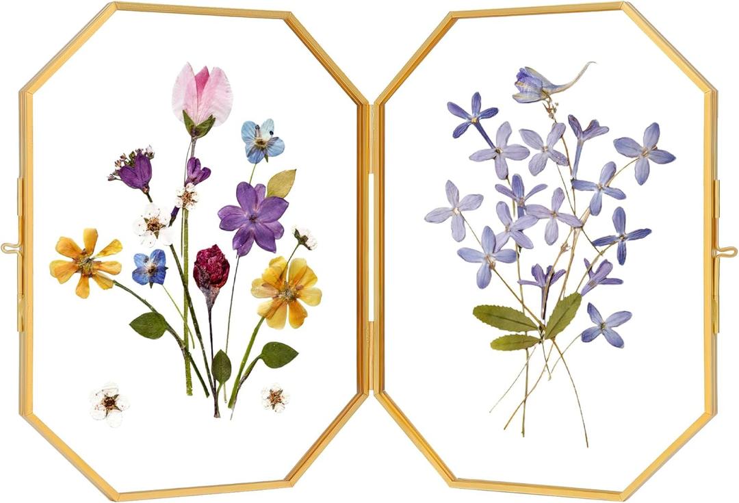 Double Glass Picture Frame Handmade, Glass Pressed Flower Frame, Hinged Tabletop Brass Photo Frames, Dried Flower Display Folding Frame for Home, Octagon, Gold, 68 Inches (6L" x 8W")
