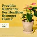 Miracle-Gro Indoor Plant Food for All Plants, Liquid Plant Food for Houseplants, Flowers, Vegetables, Herbs, and More, 8 fl. oz., 2-Pack
