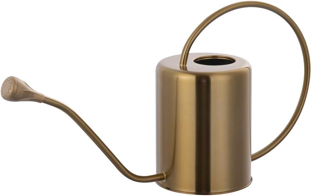 1/2 Gallon 68oz Long Spout Stainless Steel Gold Colored Watering Can for Indoor Plant Watering or Outdoor Gardening with 2 Removable Spray Spout for Flowers, Medium 1/2 Gallon 68oz Long Spout Stainless Steel Gold Colored Watering Can for Indoor Plant Watering or Outdoor Gardening with 2 Removable Spray Spout for Flowers, Medium
