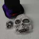 5 Pcs Halloween Shadow Costume for Men Sorcerer Antagonist Gothic Sorcerer Top Hat Bone Necklace Skull Skeleton Mask Purple Feather for Halloween 1920s Jazz Era Magician Cosplay Party