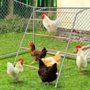 YUMEKA Chicken Roosting Bars with Swing,Chicken Perch Bars for Coop,Chick roosting Perch,Backyard Poultry Toys,Hen Swing with Frame,Perfect for Backyard Poultry Easy Installation & Cleaning (74.4in x 40.6in)