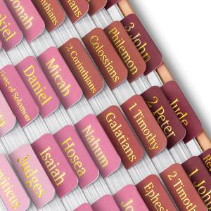 Mr. Pen- Bible Tabs, 75 Tabs, Rose Ombre, Gold Foil Embossed Lettering, Laminated Bible Tabs for Women and Men, Bible Tabs for Study Bible Index Tabs, Bible Book Tabs, Bible Labels Tabs
